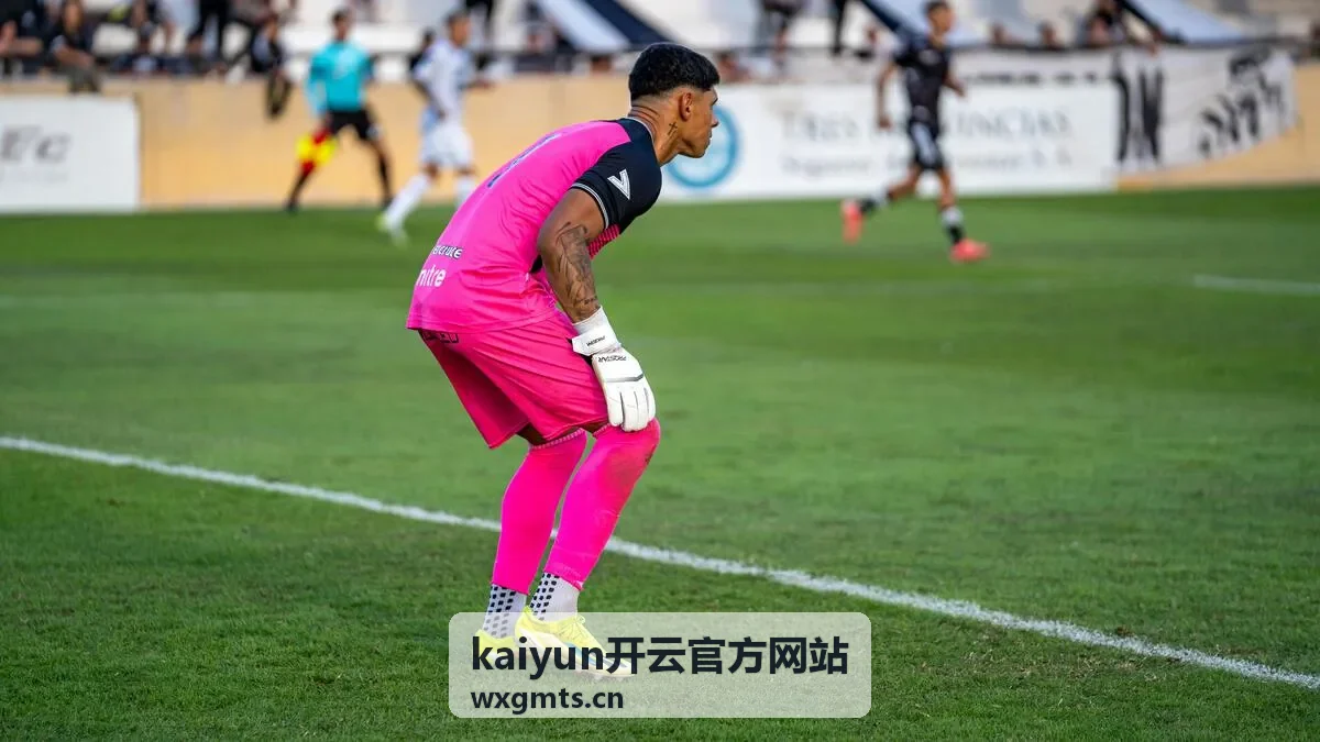 kaiyun开云官方网站 功能分区与入口分布示意