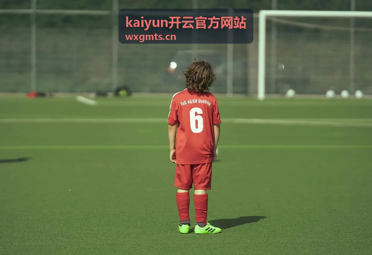kaiyun开云官方网站功能模块日常使用界面